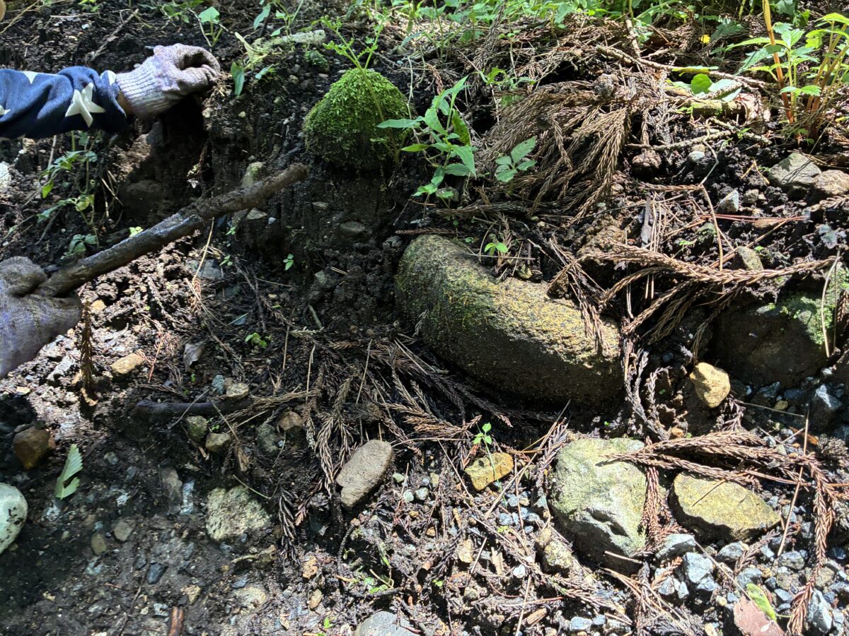 山の中で自然遊びを楽しむpuちゃん